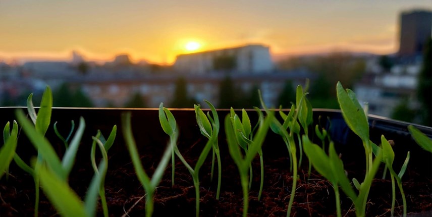 Foto: Kristina Bokanić
