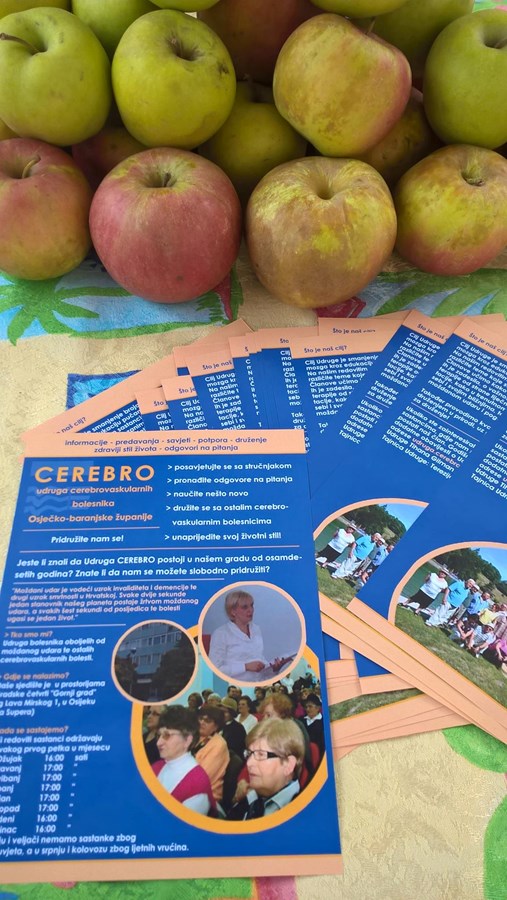 Foto: Udruga Cerebro Osijek