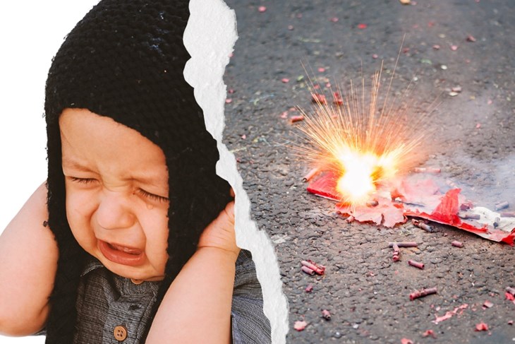 Foto: Prijatelji životinja