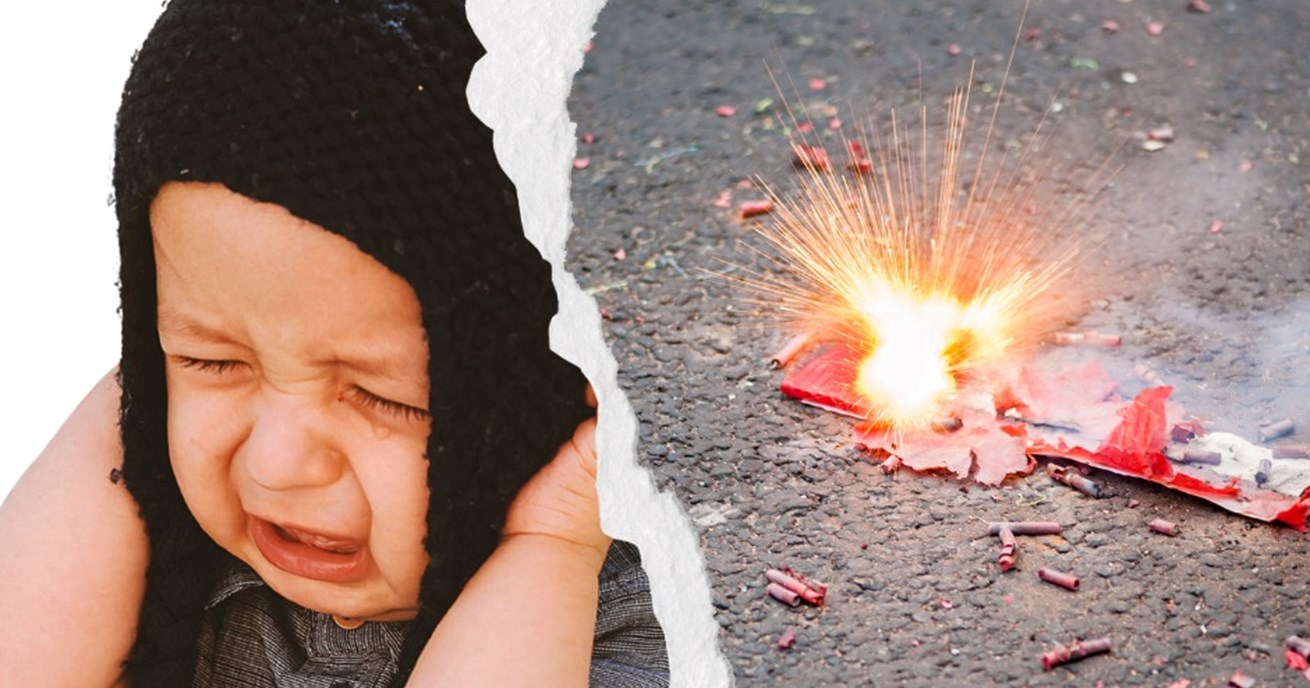 Foto: Prijatelji životinja