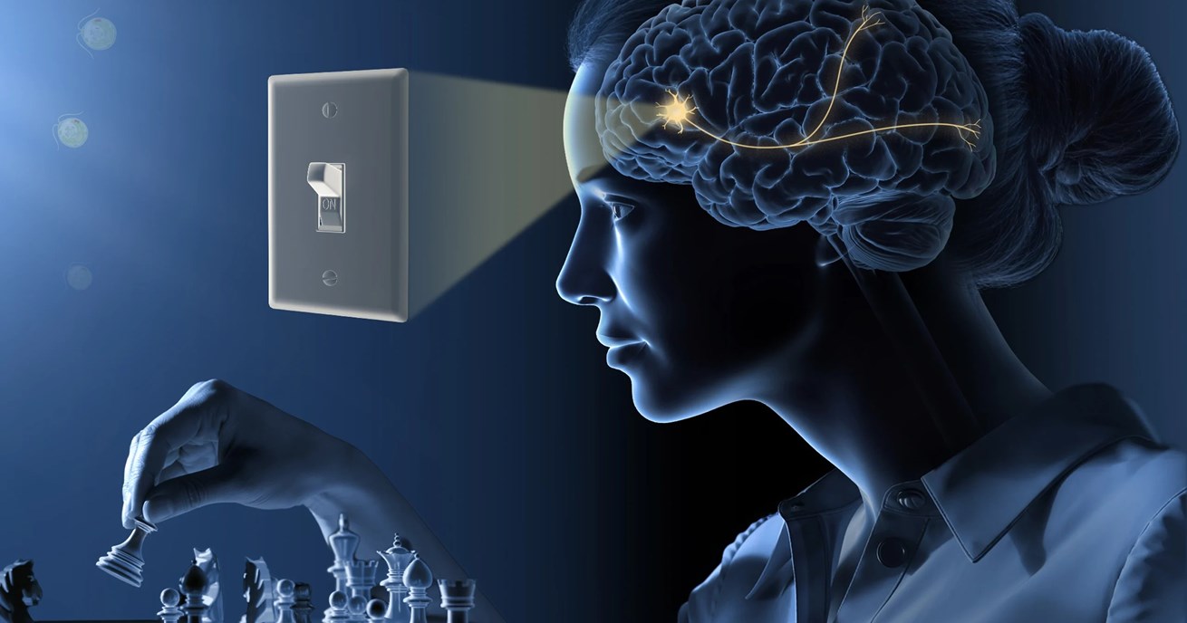 Foto/Ilustracija: © The Nobel Committee for Physiology or Medicine. Ill. Mattias Karlén